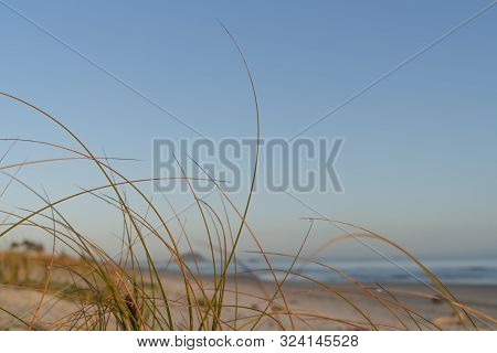 Oceanbeach As Sun Is On Horizon Creating Golden Glow Across Sea To Beach Still In Dark Of Morning.