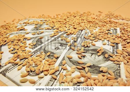 Dollar Banknotes Sprinkled With Weat Grains. Harvest, Investment, Revenue Or Agricultural Market Con