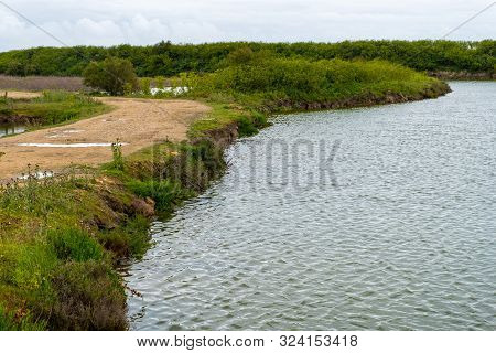 Lilleau Des Niges National Nature Reserve Of Ile De Re Island In France