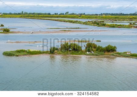 Beautiful View Of Lilleau Des Niges National Nature Reserve Of Ile De Re Island In France