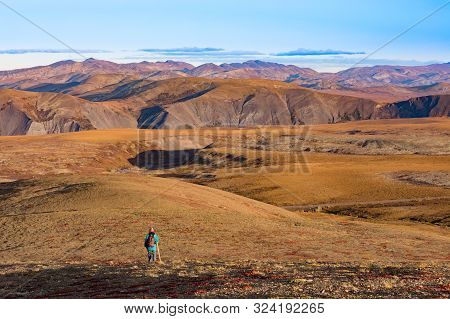 Solo Hiker In Autumn Fall Colors Of Alpine Arctic Tundra Of Richardson Mountains, Northwest Territor