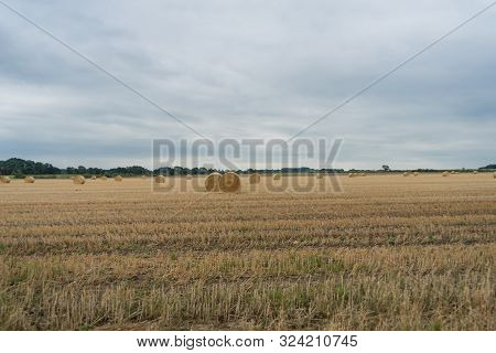 Haystack Harvest Agriculture Field Landscape. Agriculture Field. Rolled Haystack. A Large Round Bale