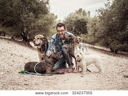 Professional Dog Walker Or Pet Sitter With A Pack Of Cute Different Breed And Rescue Dogs Enjoying A