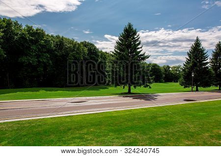 Tarmak Road Wet After Rain Surrounded By An Environment Of Green Clearings And Large Trees On A Sunn