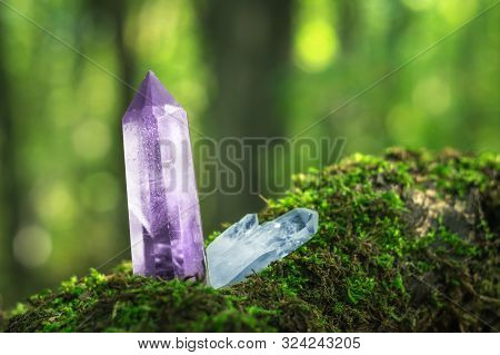 Large Violet Lilac Quartz Crystal On The Background Of Autumn Moss And Foliage. Beautiful Gem Chalce