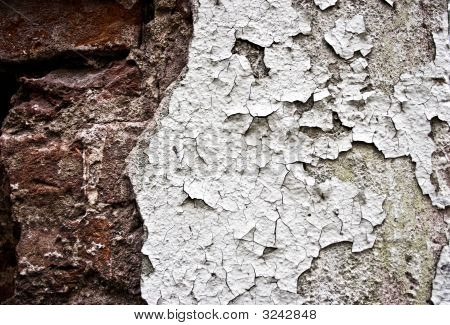 Texture1