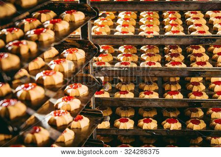 Cookie Making Factory Bakery Fresh Cook Biscuit
