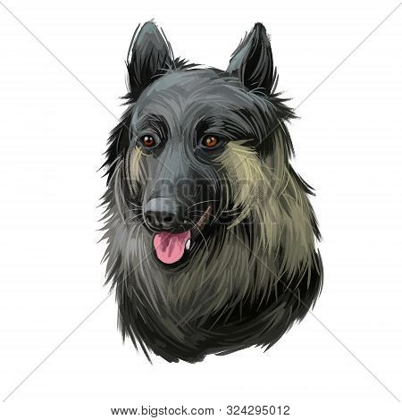 Shikoku Dog Originated From Japan, Japanese Dog Digital Art. Hand Drawn Animalistic Watercolor Portr