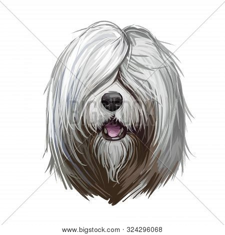 South Russian Ovcharka Breed With Opened Mouth Digital Art. Watercolor Portrait Of Pet Originated Fr