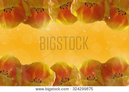Frame Of Orange Tulips On A Golden Background