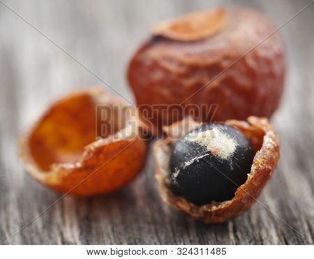 Sapindus Mukorossi Or Indian Soapberry Used In Many Pharmacological And Cleansing Purposes