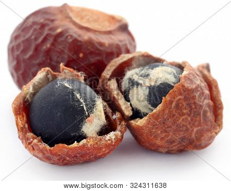 Sapindus Mukorossi Or Indian Soapberry Use In Many Pharmacological And Cleansing Purposes