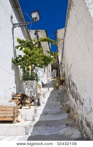 Yolun. Pietramontecorvino. Puglia. İtalya.