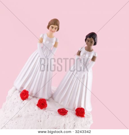 Lesbian Hochzeitstag