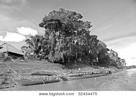 Amazonia เปรู