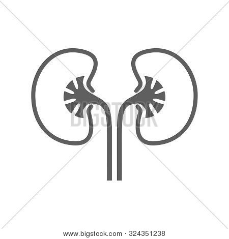 Kidneys Human Organ Icon. Sign Human Kidneys. Kidneys Symbol Isolated On White Background. Vector Il