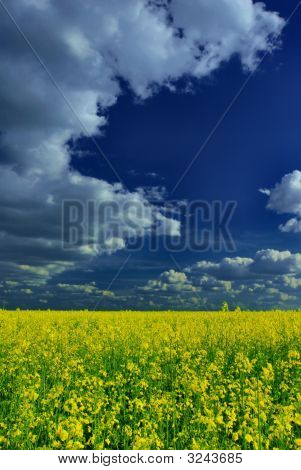 Яркий летний пейзаж