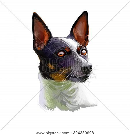 Tenterfield Terrier Dog Portrait Isolated On White. Digital Art Illustration, Animal Watercolor Draw