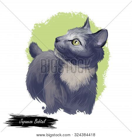 Japanese Bobtail Kitten With Short Hair Isolated On Purple Background. Digital Art Illustration Of H