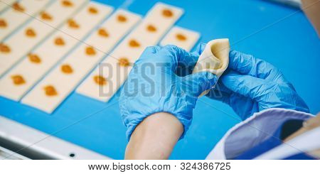 Cookie Making Factory Bakery Fresh Cook Biscuit