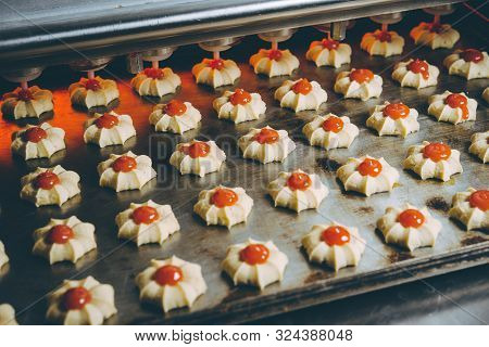 Cookie Making Factory Bakery Fresh Cook Biscuit