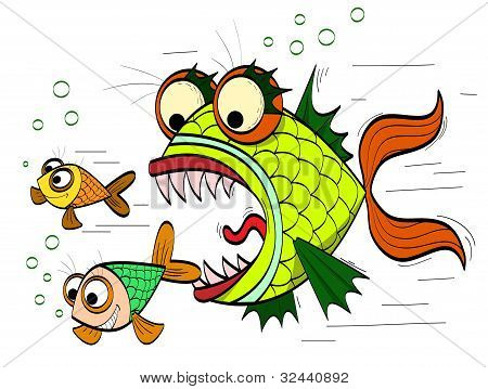 Arg fisk