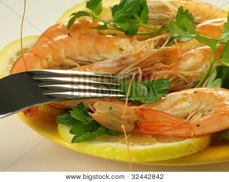 Seafish pokrm, detail