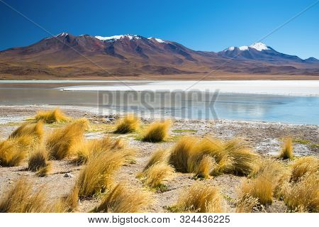 Laguna Hedionda Landscape, Altiplano - Bolivia. South America.