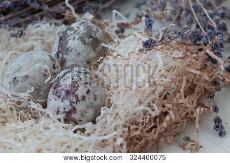 Paschal Colored Eggs In The Nest On White Background With Lavender Twings. Easter Decoration.