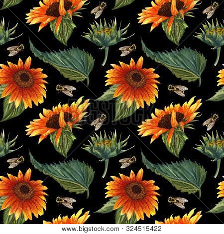 Seamless Pattern With Sunflowers And Flies On Black Background. Collection Decorative Floral Design 