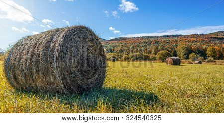 Beautiful Field Haystack Rolls In Autumn Season. Haystacks Harvest In Fall Landscape. Haystack Rolls