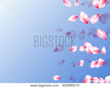 Spring Tree Flowers Parts, Airy Flying Petals On Blue Sky Background. Pink Sakura Blossom Falling Pa