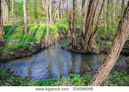 Small River Gorodyanka In Maloyaroslavetsky District, Kaluzhskiy Region, Russia