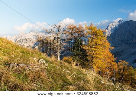 Alpine Autumn Landscape With Yellow Larch Forest, Near Kranjska Gora, Julian Alps, Slovenia, Europe
