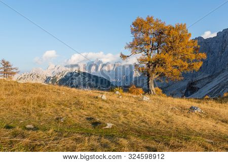 Alpine Autumn Landscape With Yellow Larch Forest, Near Kranjska Gora, Julian Alps, Slovenia, Europe