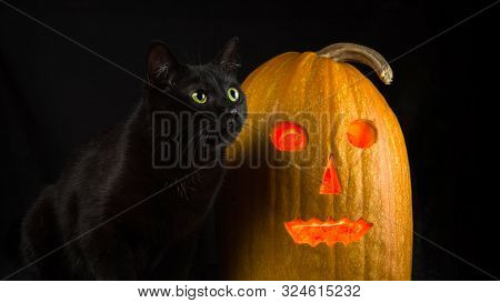 Black Cat With Yellow Eyes Sits Next To Jack-o-lantern On A Black Background.
