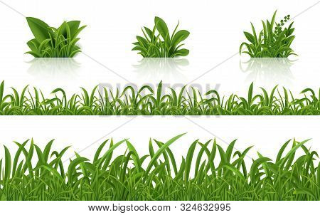 Realistic Green Grass. 3d Fresh Spring Plants Set. Vector Isolated Illustration Bunch Herbs On Tusso