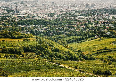 Gorgeous Panoramic View Of Vienna City, Hills And Vineyards Of Kahlenberg, Wine Village Of Grinzing 
