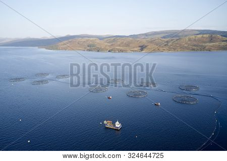 Fish Farm Salmon Sea Nets Farming At Sea Loch Scotland Uk