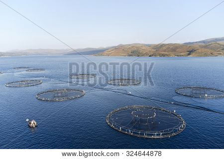 Fish Farm Salmon Sea Nets Farming At Sea Loch Scotland Uk