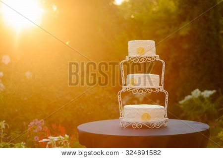 Exquisite Cake Decorated With Candied Lemon Slices In The Rays Of The Setting Sun, Close-up. Wire Ca