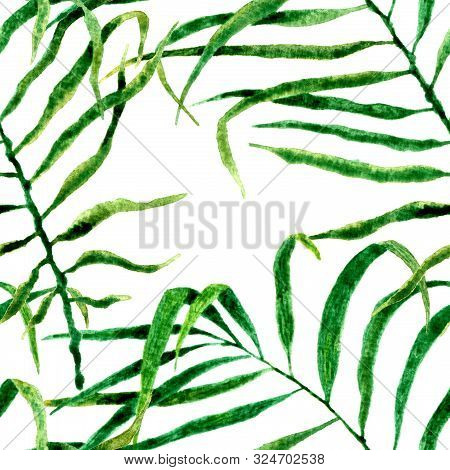 Tropical Seamless Pattern. Watercolor Swaying Palm Leaves, Japanese Bamboo. Green Exotic Swimwear De