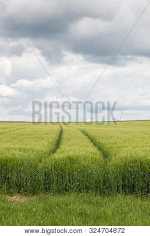 Big Grainfields In The Middle Of The German Countryside