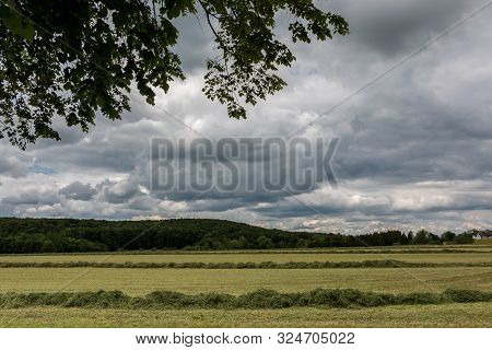 Big Meadow With Cut Grass In The Middle Of The German Countryside