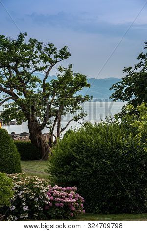 Heavenly Little Garden Near By The Lake