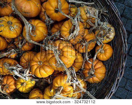 Several Small To Medium Sized Orange Pumpkins Are Display At A Farmers Market Produce Stand At Fall 