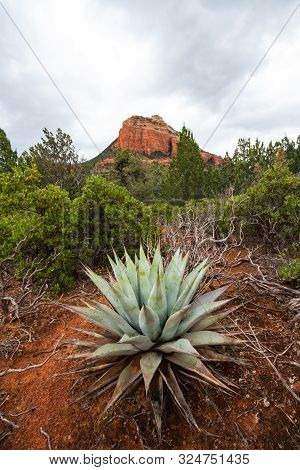 Sedona Is A Red Rock City In Arizona, United States Of America, Red Sandstone Formations, Travel Usa
