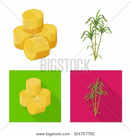 Vector Design Of Farm And Agriculture Icon. Collection Of Farm And Technology Vector Icon For Stock.