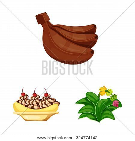 Isolated Object Of Tropical And Ripe Icon. Set Of Tropical And Potassium Stock Vector Illustration.