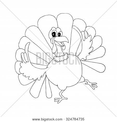Turkey Dancing. Sketch Of Funny Cute Cartoons Bird Hand Drawn Art Design Stock Vector Illustration F